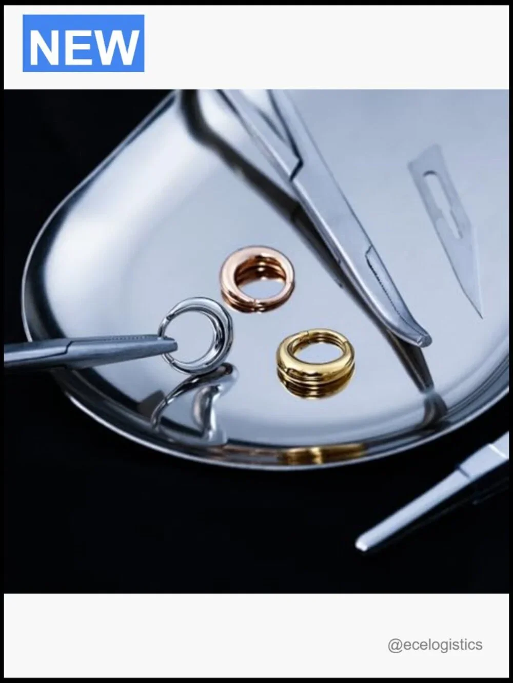 316L Stainless Steel Segment Septum Ring - 16G 8mm Hinged Clicker Hoop for Nose